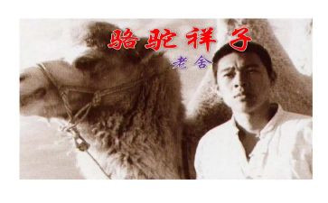 骆驼杨子读后感最新6篇