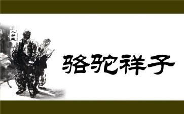 骆驼祥子读后感600字范文5篇