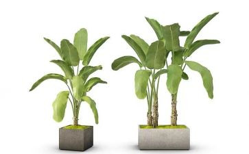 绿化工试用期工作总结6篇