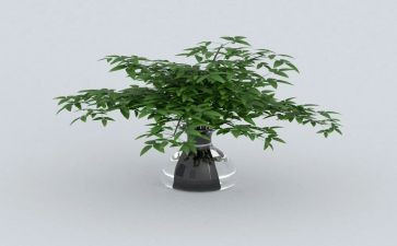 绿化工作年终总结范文6篇