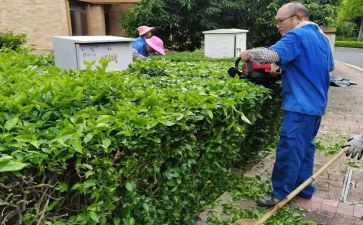 镇绿化科个人总结5篇