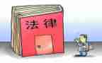 律师年度总结范文2023通用8篇