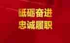 教师个人履职年度总结6篇