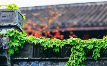 快节奏慢节奏作文5篇