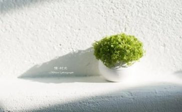 慢地震活动总结5篇