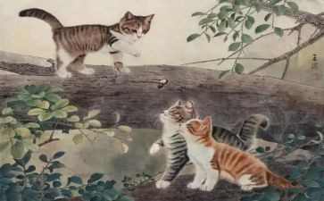 小班科学《猫》教案反思7篇