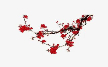 腊梅花读后感600字7篇