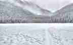 相约冬奥筑梦冰雪作文7篇