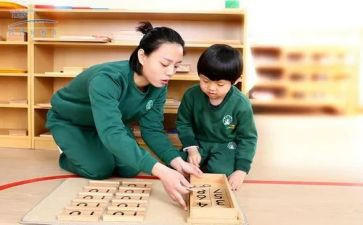 幼儿园蒙氏保育个人总结推荐8篇