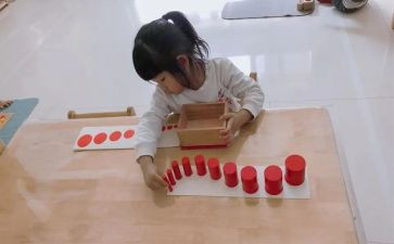 蒙氏小班月工作总结精选5篇