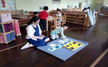 幼儿园蒙氏小班工作总结7篇