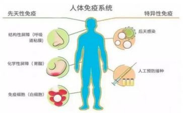 村计划免疫工作计划8篇