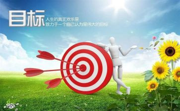 目标工作总结范文5篇