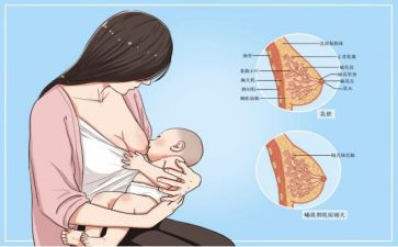 母乳喂养周宣传活动总结范文8篇