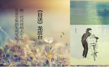 龙应台的目送读后感优质6篇