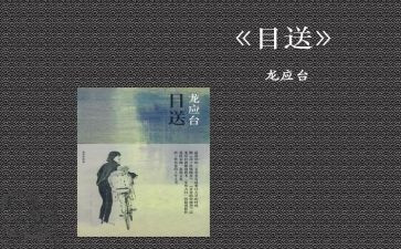 龙应台的目送的读后感精选5篇
