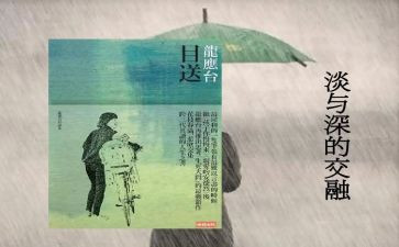 《目送》龙应台读后感8篇