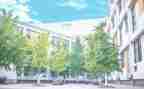 母校作文600字模板7篇