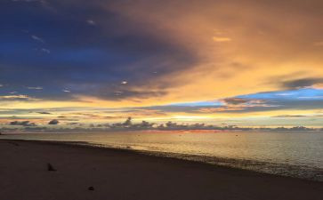 那一次让我难忘作文6篇