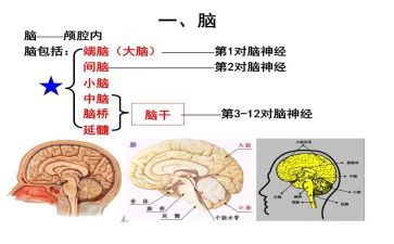 脑外科护士长工作总结8篇