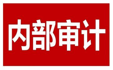 内审办工作总结7篇