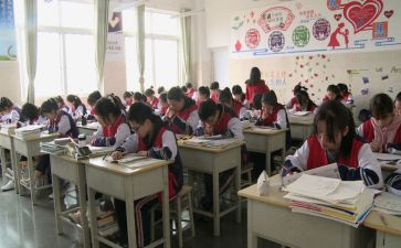 八年级物理教学总结与反思6篇