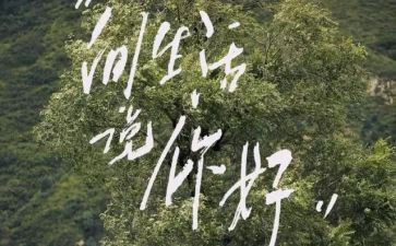 《你好,》的作文5篇