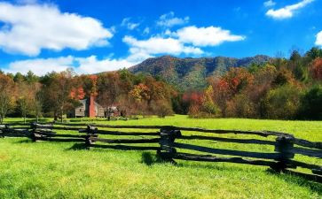 参观农场的心得体会6篇