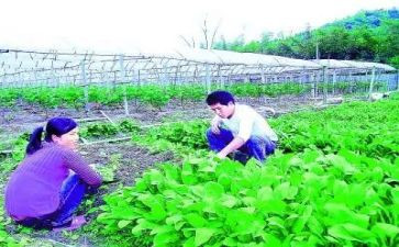 农技师个人总结5篇