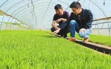 农技师的个人总结7篇