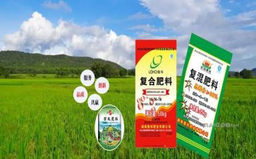 农资店工作总结通用7篇