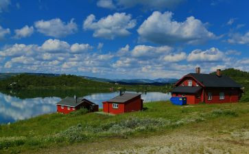 《挪威的森林》读后感500字5篇