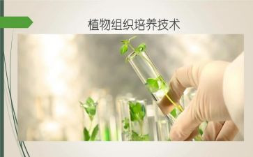 教师双培养工作总结5篇