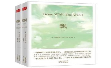 飘的读后感3000字优质8篇