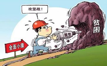 脱贫攻坚普查个人总结范文8篇