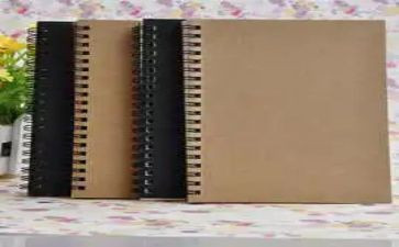 小学生评优秀学生事迹精选6篇