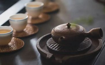 我品味过的作文500字7篇