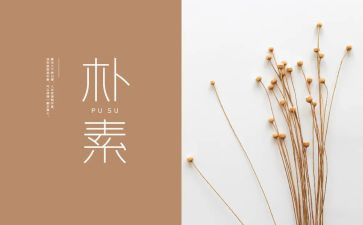 朴素也美丽作文6篇