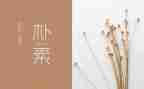 朴素也美丽作文6篇