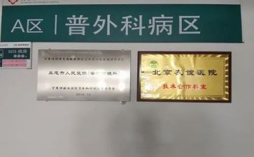 普外个人总结8篇