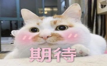 关于我期待的作文8篇