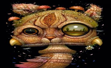 奇幻漂流观后感参考7篇