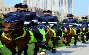 骑警队工作总结5篇