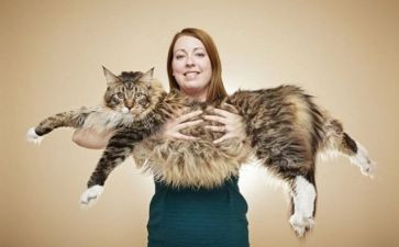 俗世奇人读后感600字6篇