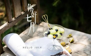七月份个人工作总结5篇