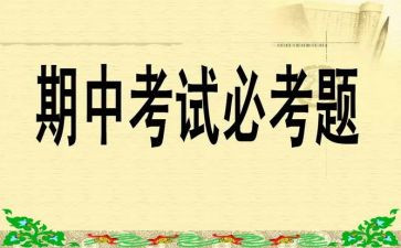 期中总结作文300字6篇