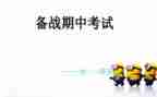 期中小学班主任工作总结6篇