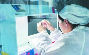 年度师德个人工作总结师德6篇