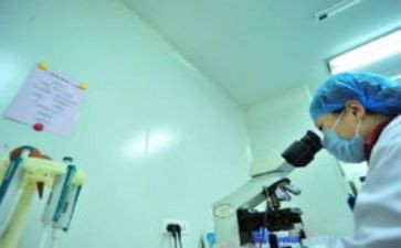内勤工作个人工作总结优质7篇