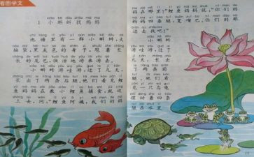 小学个人教师培训总结5篇